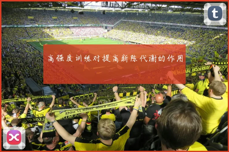 高强度训练对提高新陈代谢的作用