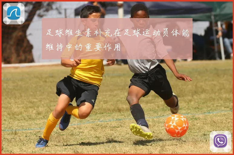 足球维生素补充在足球运动员体能维持中的重要作用